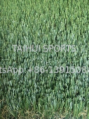ยืนยัน UV 50mm ขนาดที่กําหนดเอง สภาพภูมิทัศน์กลางแจ้ง หญ้าเทียมสังเคราะห์ สําหรับสนามฟุตบอล สนามฟุตบอล
