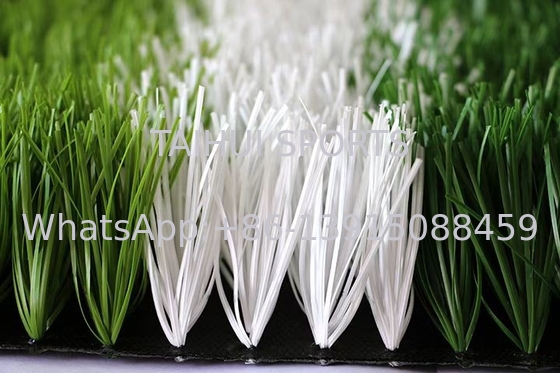 สีเขียวเข้มเขียวอ่อน สีเขียวเทียม สนามกีฬา