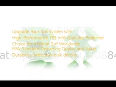 ปรับปรุงระบบหญ้าของคุณด้วย TPE ปริมาณการทํางานสูง ปรับปรุงระบบหญ้าด้วย TPE ปรับปรุงระบบหญ้าด้วย TPE ปรับปรุงระบบหญ้าด้วย TPE ปรับปรุงระบบหญ้าด้วย TPE ปรับปรุงระบบหญ้าด้วย TPE